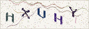 Güvenlik kodu